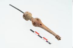 Foto von Beinnadelspitzenschoner (NHMW-PRAE-025364)